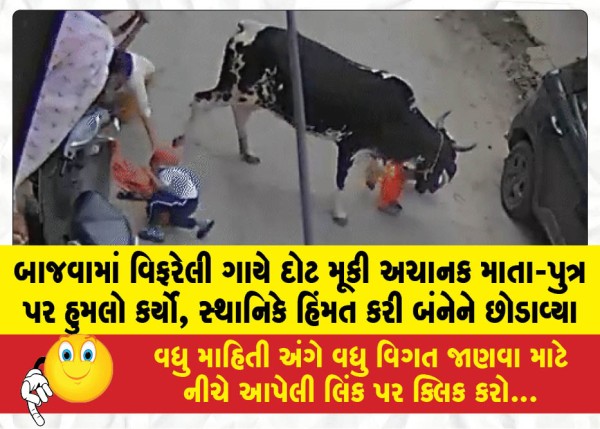બાજવામાં વિફરેલી ગાયે દોટ મૂકી અચાનક માતા-પુત્ર પર હુમલો કર્યો, સ્થાનિકે હિંમત કરી બંનેને છોડાવ્યા
