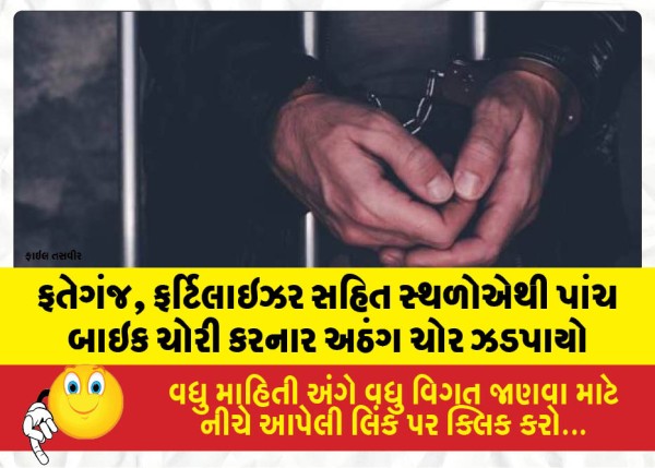 ફતેગંજ, ફર્ટિલાઇઝર સહિત સ્થળોએથી પાંચ બાઇક ચોરી કરનાર અઠંગ ચોર ફરી ઝડપાયો