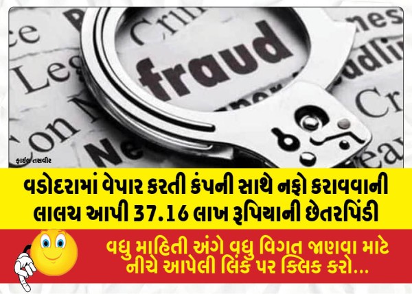 વડોદરામાં વેપાર કરતી કંપની સાથે નફો કરાવવાની લાલચ આપી 37.16 લાખ રૂપિયાની છેતરપિંડી