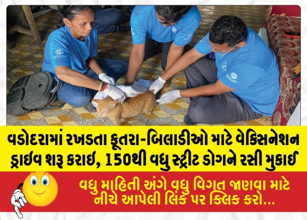 વડોદરામાં રખડતા કૂતરા-બિલાડીઓ માટે વેક્સિનેશન ડ્રાઇવ શરૂ કરાઇ, 150થી વધુ સ્ટ્રીટ ડોગને રસી મુકાઈ
