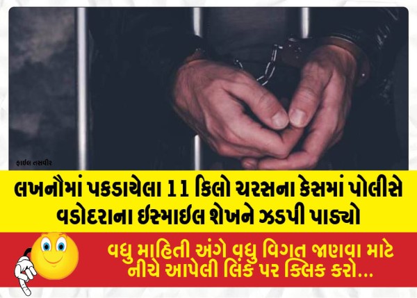લખનૌમાં પકડાયેલા 11 કિલો ચરસના કેસમાં પોલીસે વડોદરાના ઇસ્માઇલ શેખને ઝડપી પાડ્યો