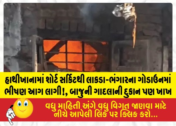 હાથીખાનામાં શોર્ટ સર્કિટથી લાકડા-ભંગારના ગોડાઉનમાં ભીષણ આગ લાગી!, બાજુની ગાદલાની દુકાન પણ ખાખ