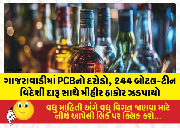 MailVadodara.com - PCB-raids-in-Gajarwadi-Mihir-Thakor-caught-with-244-bottles-tins-of-foreign-liquor