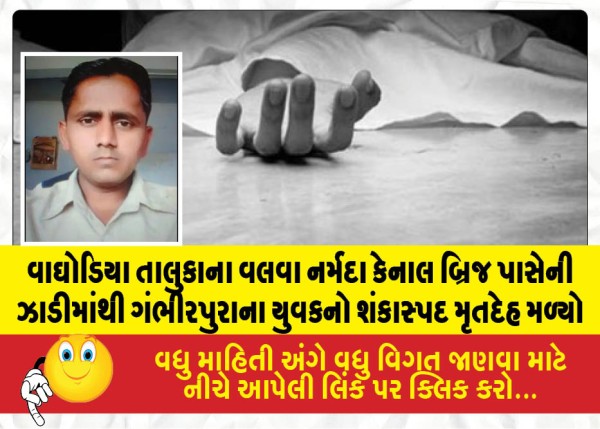 વાઘોડિયા તાલુકાના વલવા નર્મદા કેનાલ બ્રિજ પાસેની ઝાડીમાંથી ગંભીરપુરાના યુવકનો શંકાસ્પદ મૃતદેહ મળ્યો