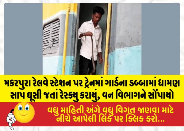 MailVadodara.com - A-cobra-entered-the-guard-compartment-of-a-train-at-Makarpura-railway-station-and-was-rescued-and-handed-over-to-the-forest-department