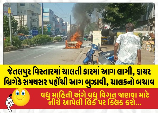 MailVadodara.com - Upon-seeing-smoke-coming-from-the-bonnet-the-driver-showed-presence-of-mind-stopped-the-car-and-got-out