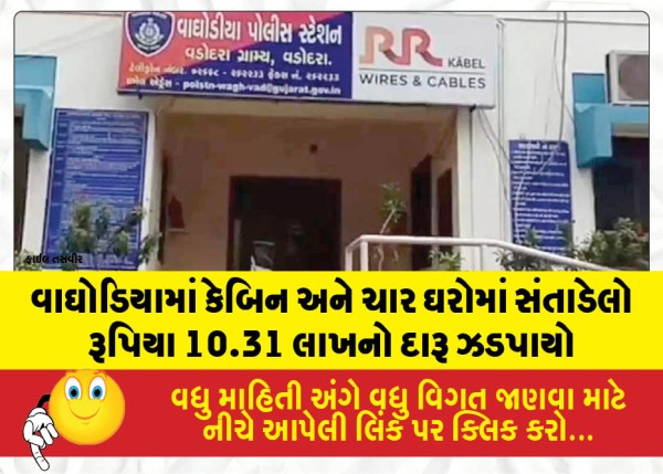 વાઘોડિયામાં કેબિન અને ચાર ઘરોમાં સંતાડેલો રૂપિયા 10.31 લાખનો દારૂ ઝડપાયો