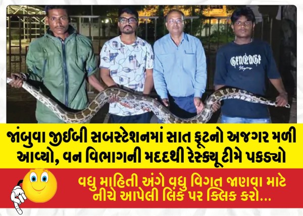 MailVadodara.com - Seven-foot-python-found-in-Jambuwa-GEB-substation-rescue-team-caught-with-help-from-forest-department
