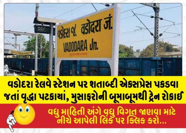 વડોદરા રેલવે સ્ટેશન પર શતાબ્દી એક્સપ્રેસ પકડવા જતાં વૃદ્ધા પટકાયાં, મુસાફરોની બૂમાબૂમથી ટ્રેન રોકાઈ