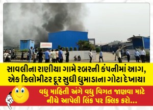 સાવલીના રાણીયા ગામે રબરની કંપનીમાં આગ, એક કિલોમીટર દૂર સુધી ધુમાડાના ગોટા દેખાયા