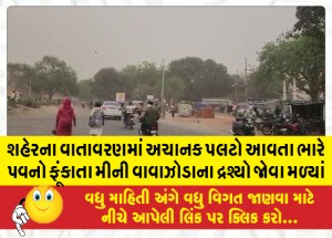 શહેરના વાતાવરણમાં અચાનક પલટો આવતા ભારે પવનો ફૂંકાતા મીની વાવાઝોડાના દ્રશ્યો જોવા મળ્યાં
