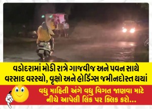 વડોદરામાં મોડી રાત્રે ગાજવીજ અને પવન સાથે વરસાદ, વૃક્ષો અને હોર્ડિંગ્સ જમીનદોસ્ત થયાં