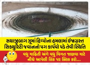 સયાજીબાગ ઝૂમાં હિપ્પોના હુમલામાં ઇજાગ્રસ્ત સિક્યુરિટી જવાનનો પગ કાપવો પડે તેવી સ્થિતિ