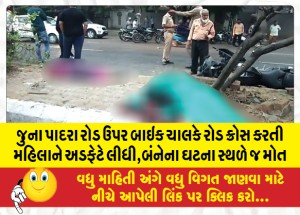 જુના પાદરા રોડ ઉપર બાઇક ચાલકે રોડ ક્રોસ કરતી મહિલાને અડફેટે લીધી,બંનેના ઘટના સ્થળે જ મોત
