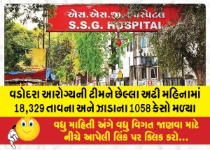 વડોદરા આરોગ્યની ટીમને છેલ્લા અઢી મહિનામાં 18,329 તાવના અને ઝાડાના 1058 કેસો મળ્યા