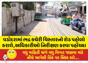 વડોદરામાં ભદ્ર કચેરી વિસ્તારનો રોડ પહોળો કરાશે,અધિકારીઓ નિરીક્ષણ કરવા પહોંચ્યા