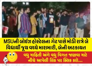 MSUની બોઇઝ હોસ્ટેલના ગેટ પાસે મોડી રાત્રે બે વિદ્યાર્થી જૂથ વચ્ચે મારામારી, બેની અટકાયત