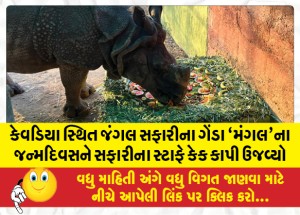 કેવડિયા સ્થિત જંગલ સફારીના ગેંડા `મંગલ'ના જન્મદિવસને સફારીના સ્ટાફે કેક કાપી ઉજવ્યો