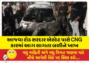 આજવા રોડ સરદાર એસ્ટેટ પાસે CNG કારમાં આગ લાગતા બળીને ખાખ