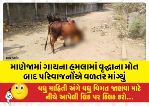 માણેજામાં ગાયના હુમલામાં વૃદ્ધાના મોત બાદ પરિવાજનોએ વળતર માંગ્યું