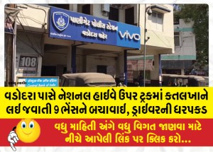 વડોદરા પાસે નેશનલ હાઇવે ઉપર ટ્રકમાં કતલખાને લઇ જવાતી 9 ભેંસને બચાવાઇ, ડ્રાઇવરની ધરપકડ