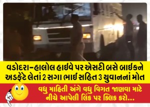 વડોદરા-હાલોલ હાઇવે પર એસટી બસે બાઇકને અડફેટે લેતાં 2 સગા ભાઈ સહિત 3 યુવાનનાં મોત