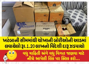 MailVadodara.com - Foreign-liquor-worth-Rs-1-20-lakh-smuggled-under-the-guise-of-rice-sacks-seized-from-Khatba-seam