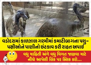 વડોદરામાં કાળઝાળ ગરમીમાં કમાટીબાગના પશુ-પક્ષીઓને પાણીનો છંટકાવ કરી રાહત અપાઇ