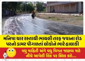 મનિષા ચાર રસ્તાથી ભાયલી તરફ જવાના રોડ પરનો ડામર પીગળતાં લોકોને ભારે હાલાકી