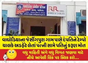 વાઘોડિયાના જેસીંગપુરા ગામ પાસે દપતિને ટેમ્પો ચાલકે અડફેટે લેતાં પત્ની સામે પતિનું કરૂણ મોત