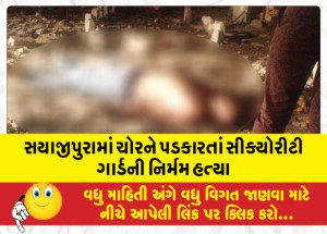 MailVadodara.com - Security-guard-brutally-killed-while-challenging-a-thief-in-Sayajipura