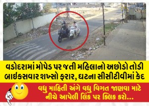 વડોદરામાં મોપેડ પર જતી મહિલાનો અછોડો તોડી બાઇકસવાર શખ્સો ફરાર, ઘટના સીસીટીવીમાં કેદ
