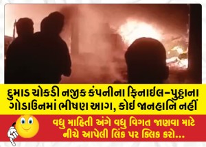 દુમાડ ચોકડી નજીક કંપનીના ફિનાઇલ-પુઠ્ઠાના ગોડાઉનમાં ભીષણ આગ, કોઇ જાનહાનિ નહીં