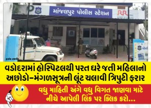 વડોદરામાં હોસ્પિટલથી પરત ઘરે જતી મહિલાનો અછોડો-મંગળસૂત્રની લૂંટ ચલાવી ત્રિપુટી ફરાર