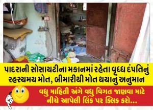 પાદરાની સોસાયટીના મકાનમાં રહેતા વૃધ્ધ દંપતિનું રહસ્યમય મોત, બીમારીથી મોત થયાનું અનુમાન
