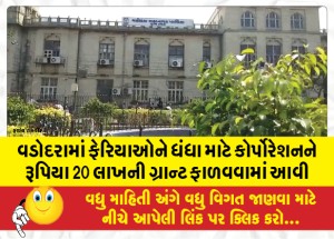 વડોદરામાં ફેરિયાઓને ધંધા માટે કોર્પોરેશનને રૂપિયા 20 લાખની ગ્રાન્ટ ફાળવવામાં આવી
