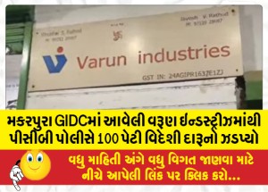 મકરપુરા GIDCમાં આવેલી વરૂણ ઇન્ડસ્ટ્રીઝમાંથી પીસીબી પોલીસે 100 પેટી વિદેશી દારૂનો ઝડપ્યો
