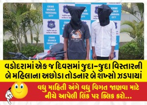 વડોદરામાં એક જ દિવસમાં જુદા-જુદા વિસ્તારની બે મહિલાના અછોડા તોડનાર બે શખ્સો ઝડપાયાં