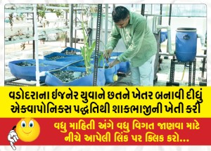 વડોદરાના ઇજનેર યુવાને છતને ખેતર બનાવી દીધું એક્વાપોનિક્સ પદ્ધતિથી શાકભાજીની ખેતી કરી