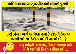 કરોડોના ખર્ચે બનેલા સ્માર્ટ રોડને કેબલ કંપનીઓ આડેધડ ખોદી નાખે છે..?