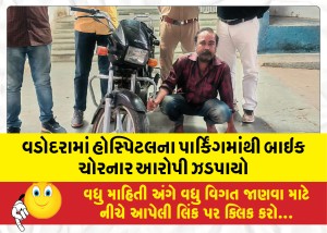 વડોદરામાં હોસ્પિટલના પાર્કિંગમાંથી બાઇક ચોરનાર આરોપી ઝડપાયો