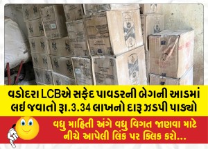 વડોદરા LCBએ સફેદ પાવડરની બેગની આડમાં લઇ જવાતો રૂા.3.34 લાખનો દારૂ ઝડપી પાડ્યો