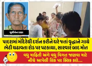 પાદરામાં મંદિરેથી દર્શન કરીને ઘરે જતાં વૃદ્ધાને ગાયે ભેટી ચઢાવતા રોડ પર પટકાયા, સારવાર બાદ મોત