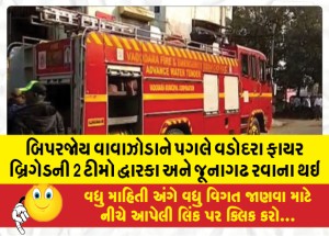 બિપરજોય વાવાઝોડાને પગલે વડોદરા ફાયરબ્રિગેડની 2 ટીમો દ્વારકા અને જૂનાગઢ રવાના થઇ, NDRFની 18 ટીમો તૈનાત
