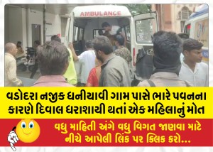 વડોદરા નજીક ધનીયાવી ગામ પાસે ભારે પવનના કારણે દિવાલ ધરાશાયી થતાં એક મહિલાનું મોત