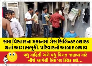 સમા વિસ્તારના મકાનમાં ગેસનો સિલિન્ડર બ્લાસ્ટ થતાં આગ ભભૂકી, પરિવારનો આબાદ બચાવ