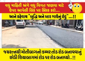 જયરત્નથી મોતીબાગનો કમ્મર તોડ રોડ બનાવવાનું છોડી શિયાબાગમાં રોડ પર રોડ બનાવ્યો..!!