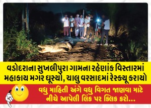 MailVadodara.com - Giant-crocodile-entered-residential-area-of-Sukhlipura-village-Vadodara-rescued-in-ongoing-rain