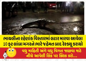 ભાયલીના રહેણાંક વિસ્તારમાં લટાર મારવા આવેલા 10 ફૂટ લાંબા મગરને ભારે જહેમત બાદ રેસ્ક્યૂ કરાયો