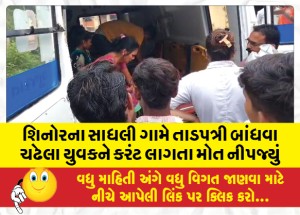 શિનોરના સાધલી ગામે તાડપત્રી બાંધવા ચઢેલા યુવકને કરંટ લાગતા મોત